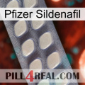 Pfizer Sildenafil 08